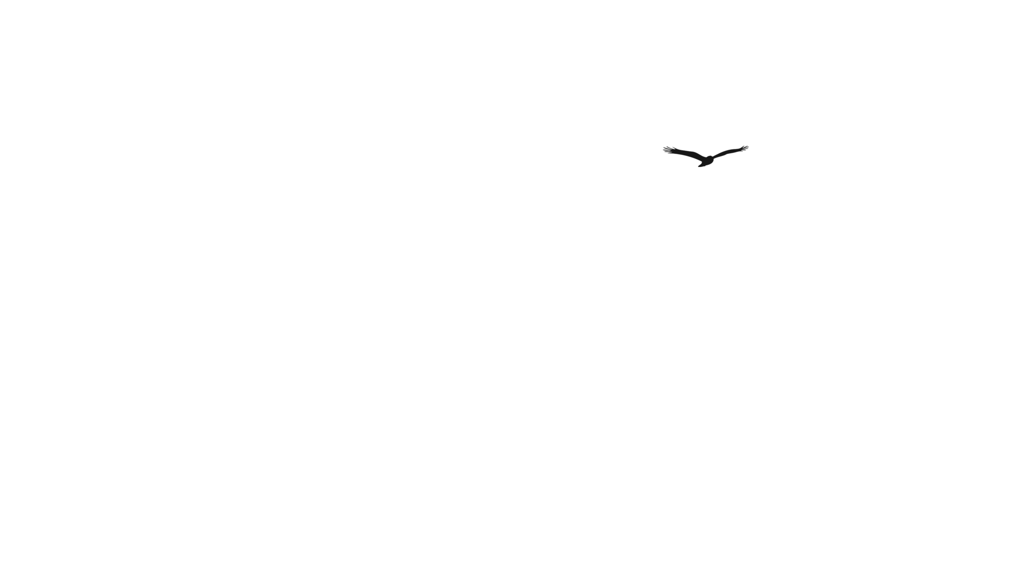oiseau