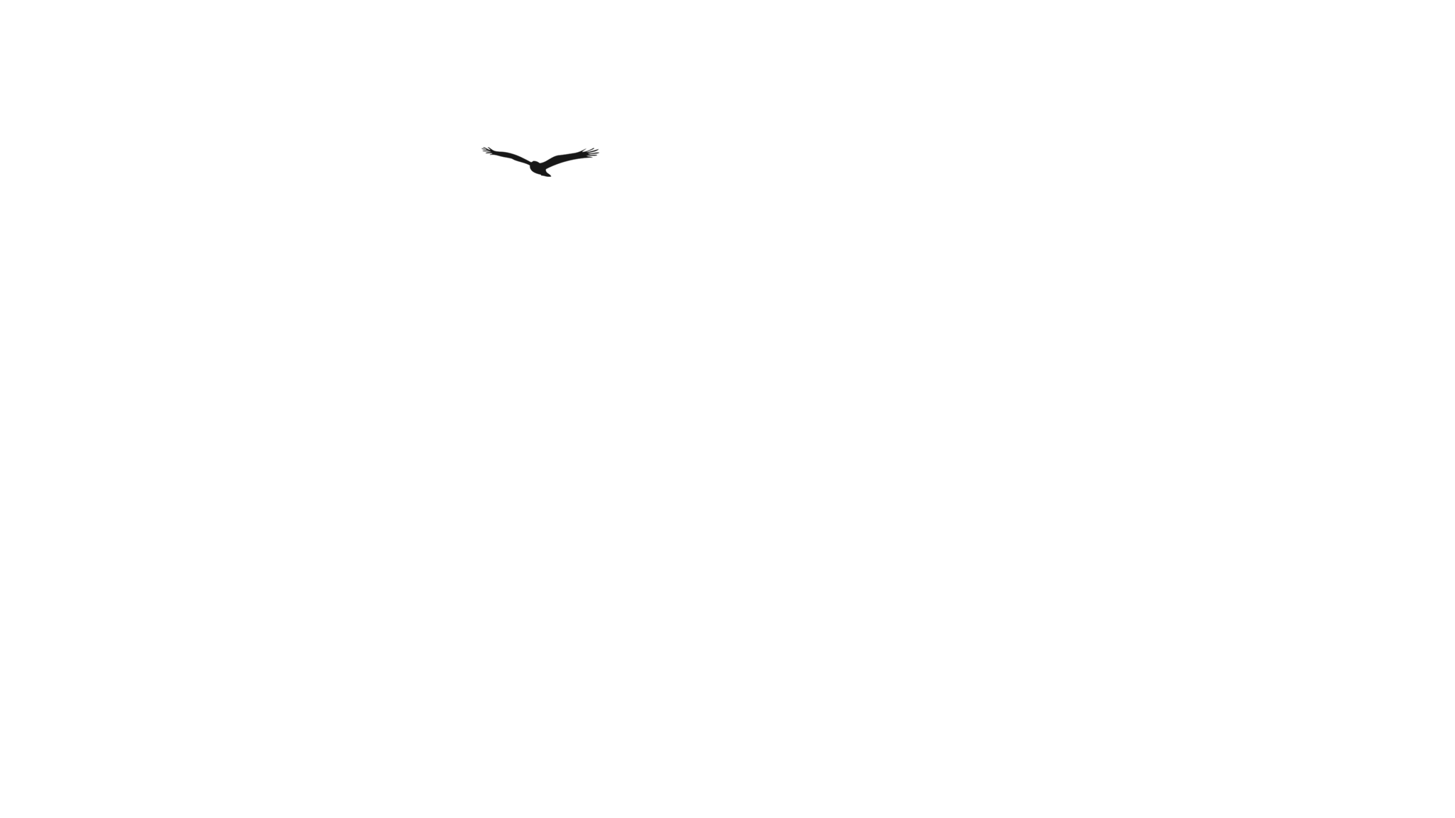 oiseau